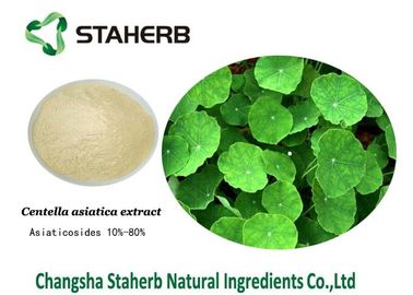 Gotu Kola Extract Natural Cosmetic Ingredients , Organic Skin Care Ingredients supplier