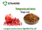 Ellagic Acid Antioxidant Dietary Supplement , Natural Antioxidant Supplements supplier
