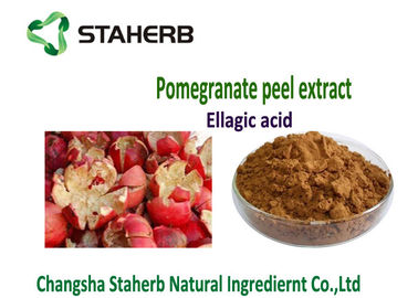 Ellagic Acid Antioxidant Dietary Supplement , Natural Antioxidant Supplements supplier