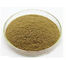 Cactus Extract Weight Loss Powder Ratio 10/1 Solvent Extraction For Cosmetic Field supplier