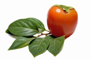 Persimmon Leaf Extract Pure Natural Plant Extracts Folium Kaki Extract Powder supplier