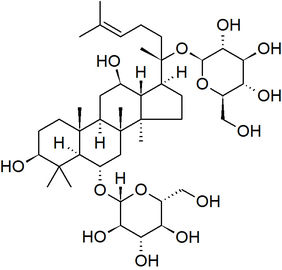 Pure Natural Plant Ginseng Extract Ginsenosides 30% Ginseng Powder Food Grade supplier