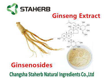 Pure Natural Plant Ginseng Extract Ginsenosides 30% Ginseng Powder Food Grade supplier