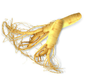 Pure Natural Plant Ginseng Extract Ginsenosides 30% Ginseng Powder Food Grade supplier