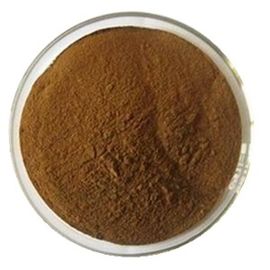 Ligustilide 1% Angelica Extract Pure Herbal Extracts For Female Health Care supplier