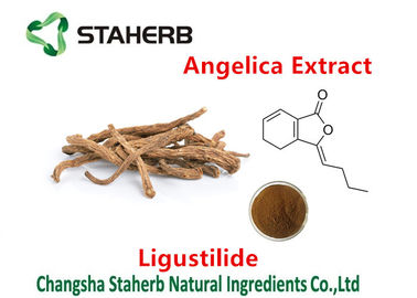 Ligustilide 1% Angelica Extract Pure Herbal Extracts For Female Health Care supplier