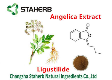 Ligustilide 1% Angelica Extract Pure Herbal Extracts For Female Health Care supplier