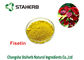 Cotinus Coggygria Green Plant Extract Smoketree Extract Fisetin 50% - 95% supplier