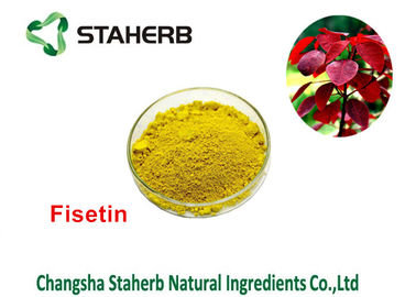 Cotinus Coggygria Green Plant Extract Smoketree Extract Fisetin 50% - 95% supplier