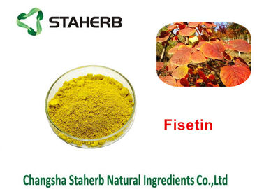 Cotinus Coggygria Green Plant Extract Smoketree Extract Fisetin 50% - 95% supplier