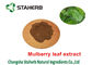 Mulberry Leaf Pure Natural Plant Extracts 1 - DNJ Active Ingredients 12% Powder supplier