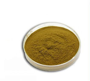 Oleuropein 40% - 80% Natural Green Extracts , Extracting Chemicals From Plants supplier