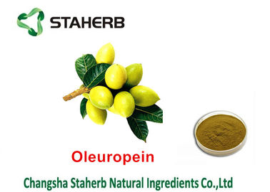 Oleuropein 40% - 80% Natural Green Extracts , Extracting Chemicals From Plants supplier