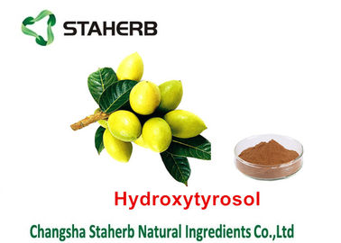 Olive Leaf Herbal Plant Extract , Organic Herbal Extracts Solvent Extraction Type supplier