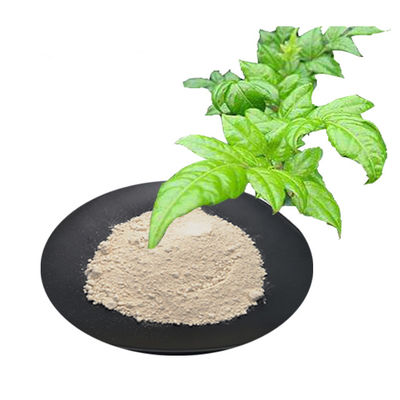 natural plant extracts Vine tea extract dihydromyricetin protect liver and hangover drink supplier